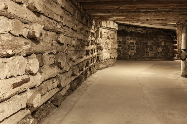 Wieliczka Salt Mine madenciler koridorlar derin yeraltı - tuz Stok Fotoğraf