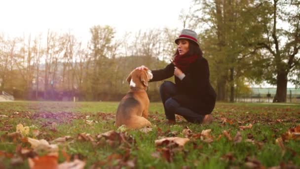 Kvinna leker med Beagle valp — Stockvideo