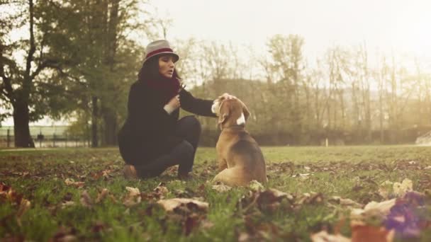 Kobieta, grając z szczeniak Beagle — Wideo stockowe