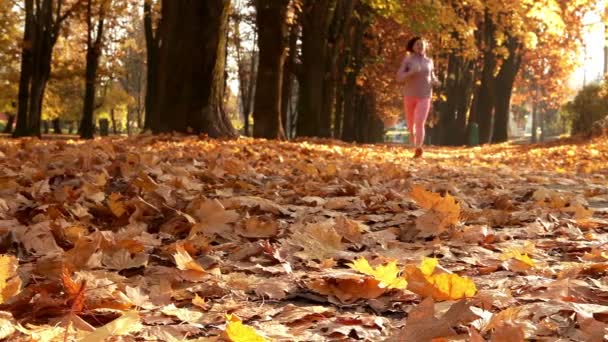 Jogging féminin dans le parc — Video