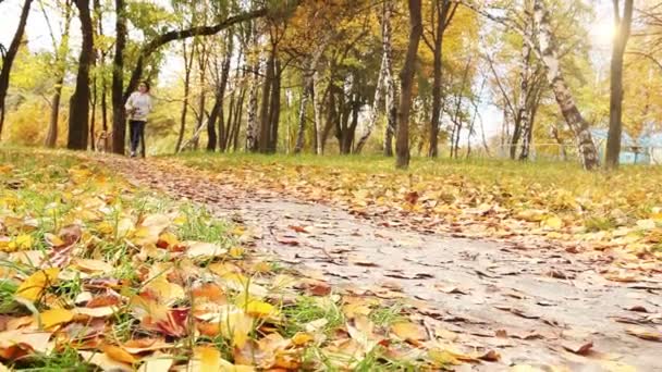 Ragazza a piedi circa con cucciolo di beagle al rallentatore parco autunnale — Video Stock