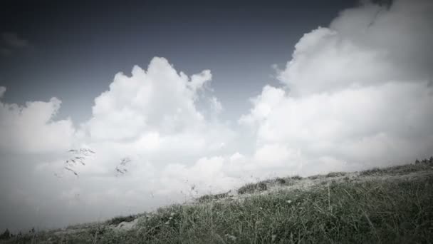 Female with beagle dog walking in mountains with clouds — Stock Video