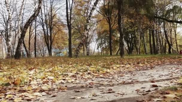 女孩与小猎犬小狗在秋季公园四处走走 — 图库视频影像