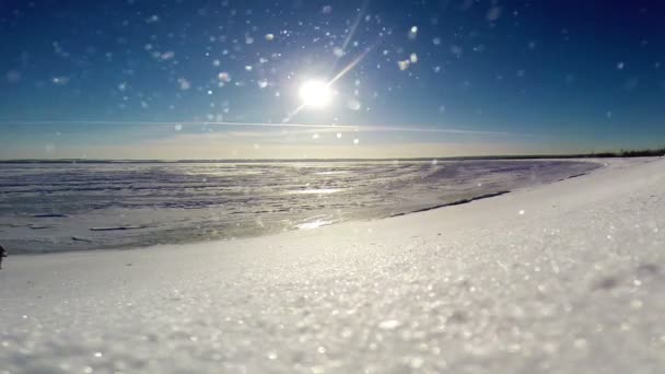 Costa di mare congelati: bufera di neve di neve durante una luminosa giornata di sole — Video Stock