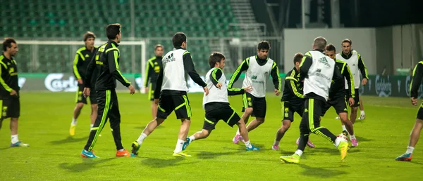 ZILINA, SLOVAKIA  - OCTOBER 8, 2014: Spain national team players — Stock Photo, Image