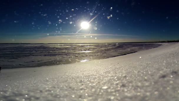 Bevroren Zeekust: sneeuw blizzard tijdens zonnige dag — Stockvideo
