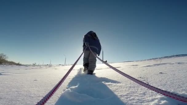 Little kid pulling sled to the slope top — Stock Video