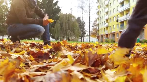 Little son brings autumnal leaves bouquet to his mom — Stock Video