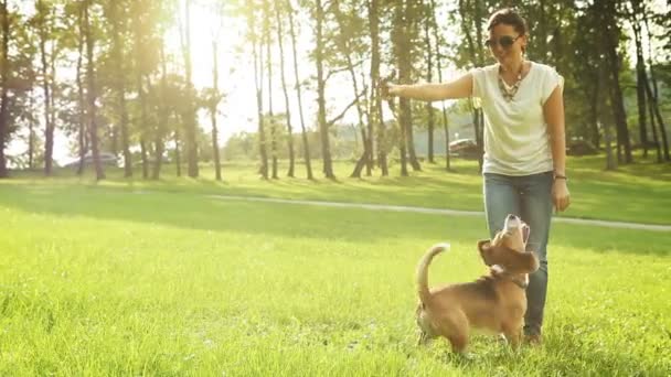 Młoda kobieta gra z jego przyjaciel pies beagle — Wideo stockowe