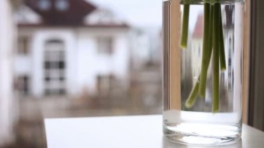 Sevimli ev sahne: cam vazoda çiçekler koyarak