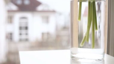 Cam vazoda çiçekler koyarak