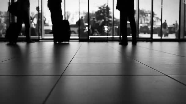 Personen mit Gepäck im Flughafen — Stockvideo