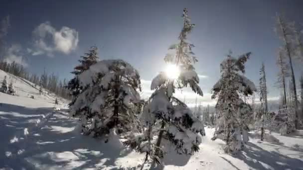 丘を下って行くスキーヤー — ストック動画
