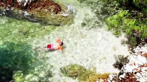 Boy snorkeling in warm waves — Stock Video