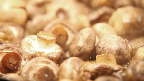 Fritar os cogumelos castanhos — Vídeo de Stock