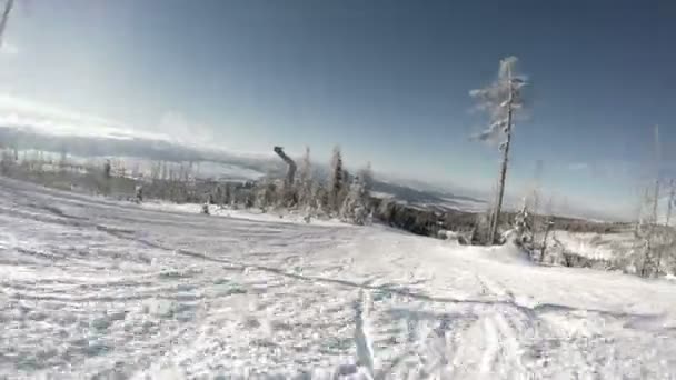 Skifahrer sinkt von hill — Stockvideo