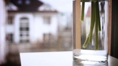 Cam vazoda çiçekler koyarak