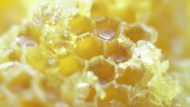 Le miel sous honeycomb