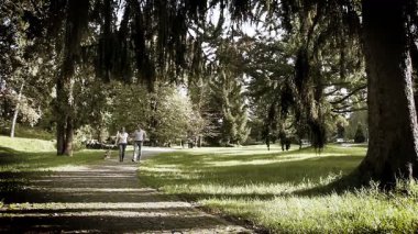 köpek park ile yürüme Çift
