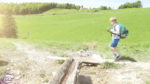 Familj i bergen: liten pojke med ytterligare och roliga beagle hund — Stockvideo