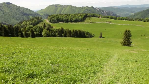 Hombre con su perro beagle corre por el valle verde de la montaña — Vídeos de Stock