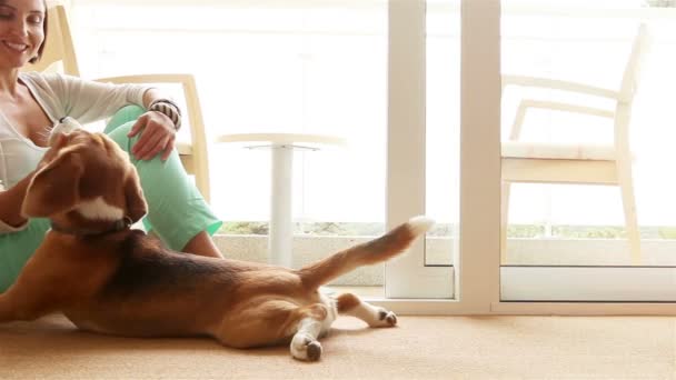 Señora cariñosamente acariciando a su perro beagle — Vídeos de Stock