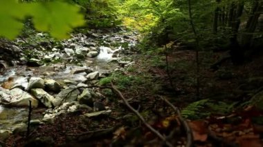 Dağ orman creek görüntüleri hareketli slider ile
