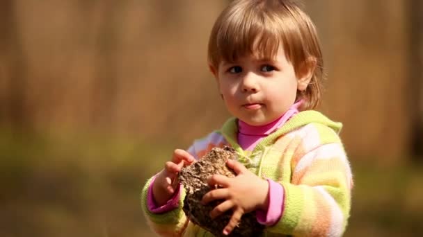 Kleine niedliche Mädchen Portrait video mit Bienen nisten in Händen — Stockvideo