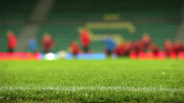 Fußball Feld Gras mit Regentropfen mit unscharf Team Trainingsprozess im Hintergrund — Stockvideo