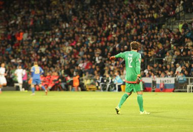 UEFA EURO 2016   Slovakia - Ukraine match on September 8, 2015
