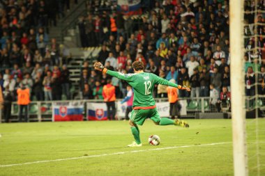 UEFA EURO 2016   Slovakia - Ukraine match on September 8, 2015