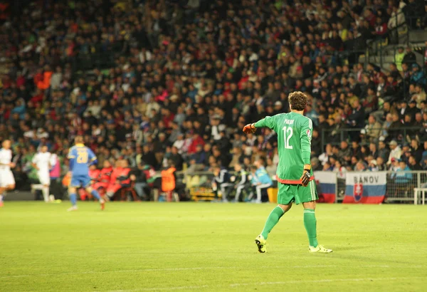 UEFA EURO 2016   Slovakia - Ukraine match on September 8, 2015 — Stock fotografie