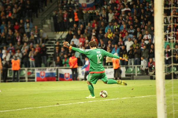 UEFA EURO 2016   Slovakia - Ukraine match on September 8, 2015 — Zdjęcie stockowe