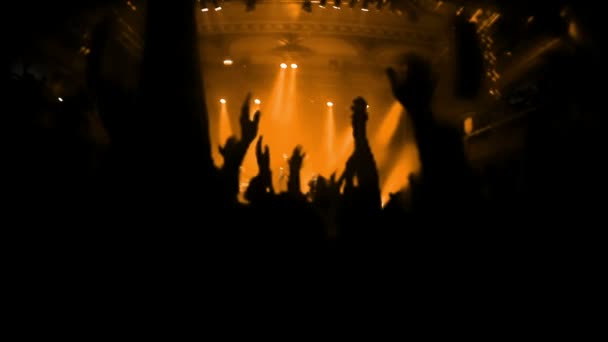 Πλήθος πάρτι σε μια συναυλία ροκ — Αρχείο Βίντεο