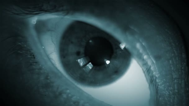 Tiro macro dos olhos humanos — Vídeo de Stock