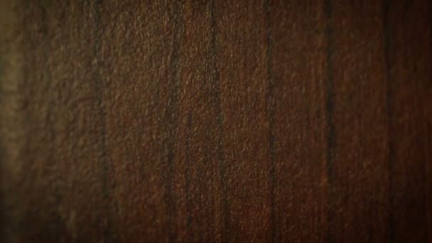 Λακαρισμένο ξύλο κουκλίτσα — Αρχείο Βίντεο