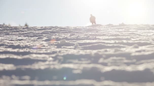 Nunny の斜面を下って行くスキーヤー — ストック動画