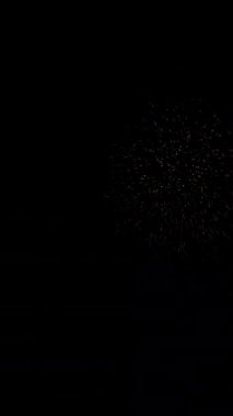 Dikey Çin Yeni Yılı 2026 soyut altın at tasarımı, havai fişek ve zarif altın aksanlı animasyonu.