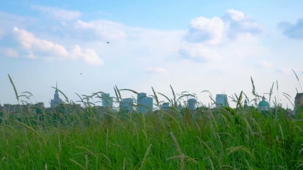 Vue sur Varsovie Haut des bâtiments — Video