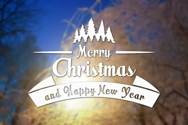 Merry Christmas and New Year greeting card