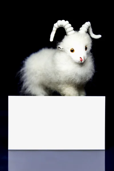 Koza nebo ovce s prázdnou kartou — Stock fotografie