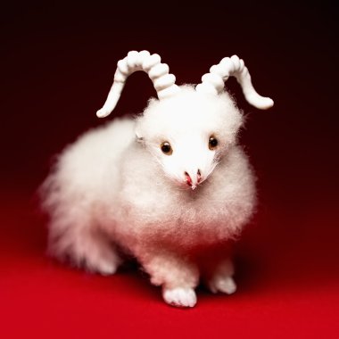 Keçi ya da koyun 2015 yılı sembolü