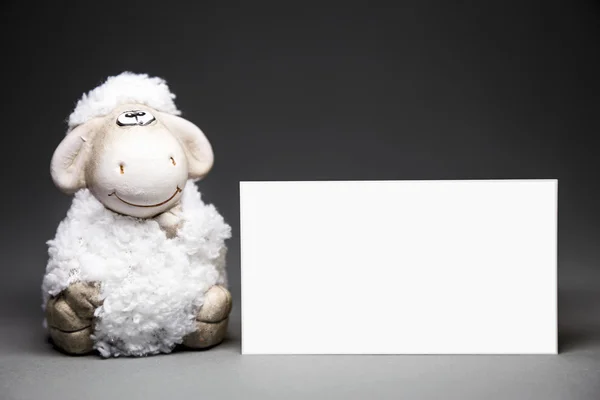 Owce z pustą kartę — Zdjęcie stockowe