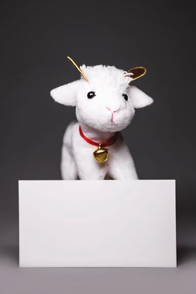 Schafe mit Blanko-Karte — Stockfoto
