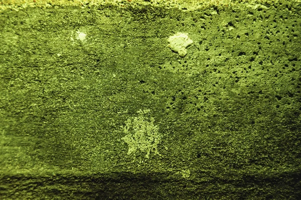 Зеленый цвет штукатурки или цемента — стоковое фото