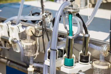 Mekanize sağım için otomatik donatımın kompleksleri çiftlik sanayi