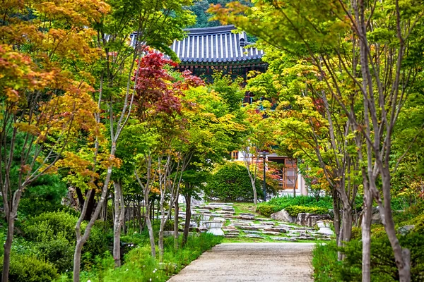 Gränd i park till gamla tempel i Korea — Stockfoto