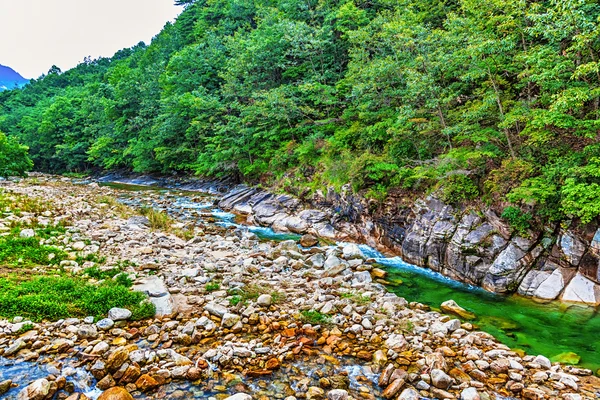 Flod i bergskog i Korea — Stockfoto