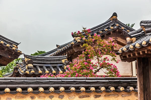 Traditionella gamla koreanska byggnad med träd och blommor — Stockfoto