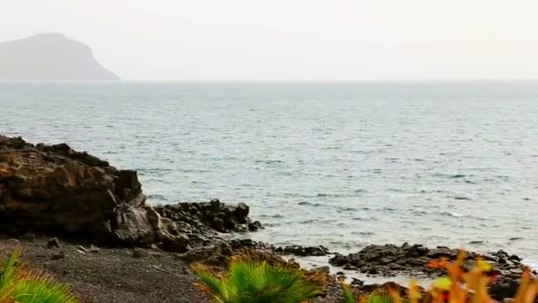 Wild stenen wal of kust van Oceaan of zee — Stockvideo